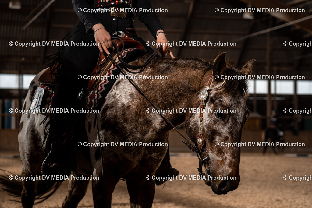 Heidelberg Tag 1-469 | dv-media-shop - Realisiert mit Pictrs.com