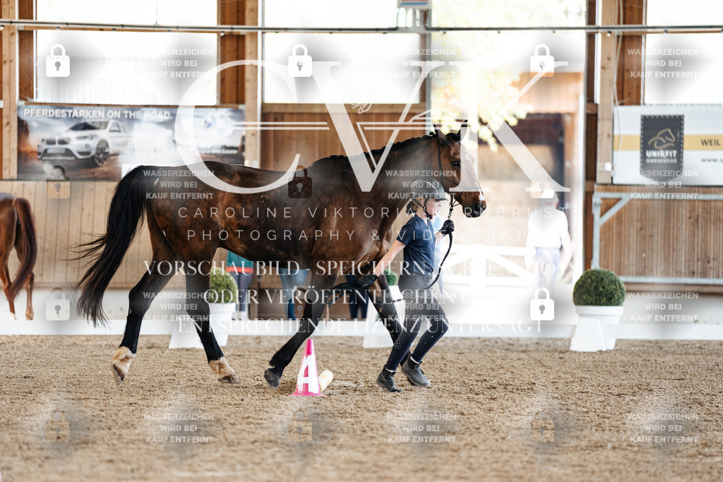 CK905770 | Turnierfotografie Pferdefotografie Trier Rheinland-Pfalz Pferdesport Reitsport Tierfotografie Sportfotografie Pferdevideo Pferdevideografie Equestrianvideography equestrianphotography  - Realisiert mit Pictrs.com