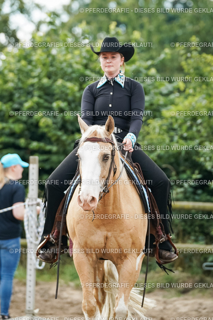 DSC03880 | Pferdegrafie