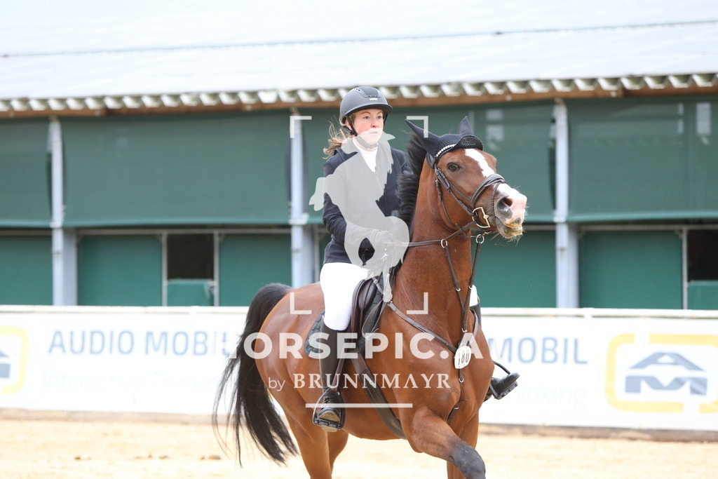 DL2Q0635 | Willkommen bei Brunnmayr - Design & Fotografie – Ihrem Spezialisten für Reitturniere und Pferdeveranstaltungen in Oberösterreich, Salzburg und Bayern! Seit über 17 Jahren sind wir leidenschaftlich dabei.