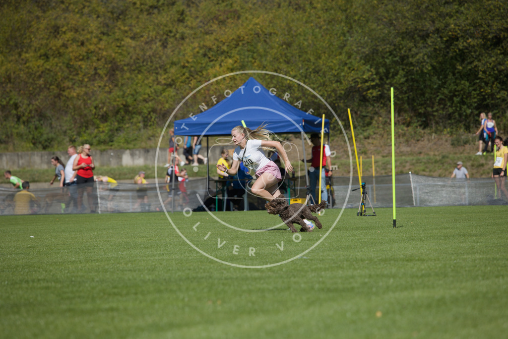 0L8A5858 | Hundefotografie, Tierfotograf, Pfotenfotografie, Fotoshooting Hund, Hunde Portrait, Hundesport, Hundeportraits, Heideshooting, Hunde, Sportfotograf, Hundefotograf, Turnierhundsport, THS,  - Realisiert mit Pictrs.com