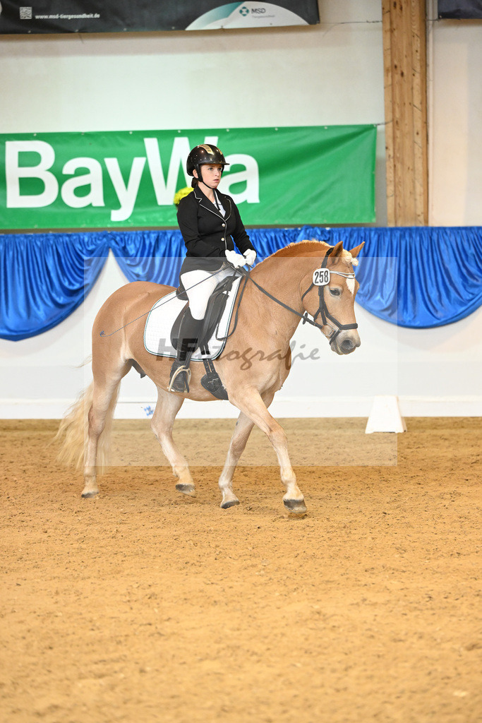 Kat-Nr. 258 Angel van de ARCA Hoeve_Redmann_54222002 | hf-fotografie - Realisiert mit Pictrs.com
