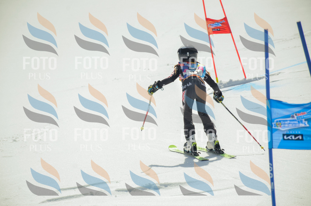 _ELE4892 | holidayphoto