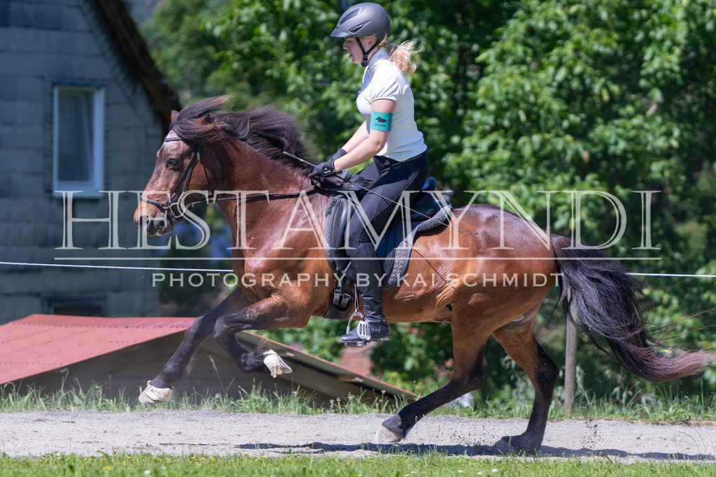 KAI09763 | Ihr sucht einen Fotografen für eure nächste OSI? Ich begleite auch euer Turnier für Islandpferde fotografisch.  - Realisiert mit Pictrs.com