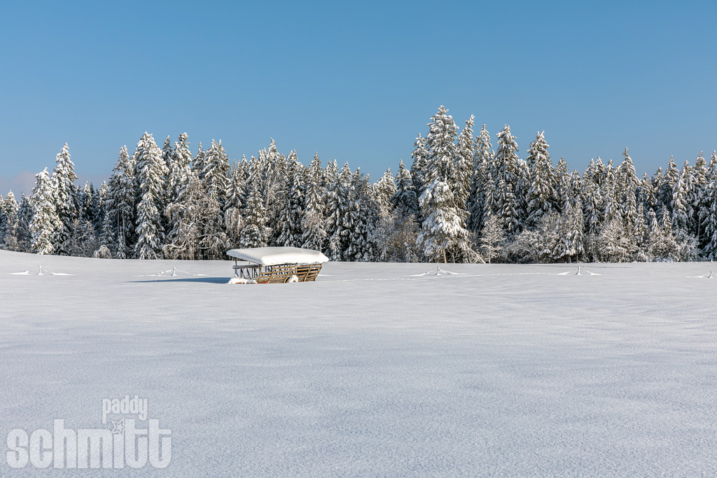 PS-Winter-2026-73 | Entdecke die größte Bildgalerie der Region mit Fotografien aus dem Allgäu, der Bodenseeregion, Oberschwaben, dem Donautal und der Schwäbischen Alb. Landschaften, Luftaufnahmen und Reisefotografie als Wandbild und Fotokunst. - Realisiert mit Pictrs.com