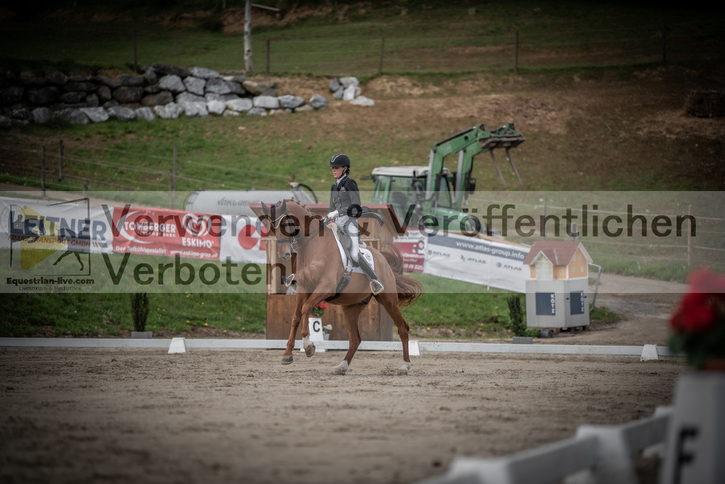 DSC_3099 | equestrian-live-com