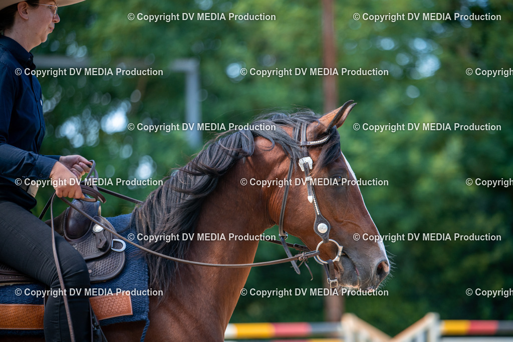 EWP_6876 | dv-media-shop - Realisiert mit Pictrs.com