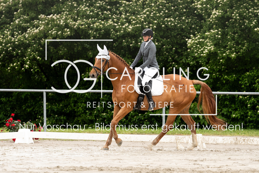 DSC07438 | Carolin Gieschke