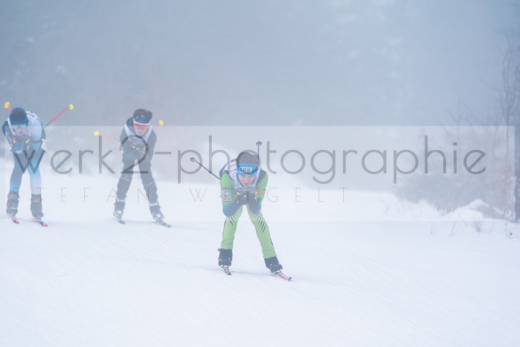 DSC Arber | Bayerischer Wald am 15. und 16. Januar 2022