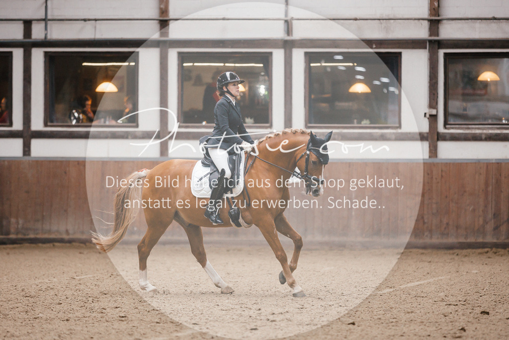 3I6A6483 | Stimmungsvolle Portraits und Reitsportfotografie im Ruhrgebiet und im Münsterland.

Pferdefotografie, Hundefotografie, Tierfotografie, Reportagen, Portraits von Tier und Mensch, Turnierfotografie in Bochum, Recklinghausen, Marl, Haltern am See, Dülmen.. - Realisiert mit Pictrs.com