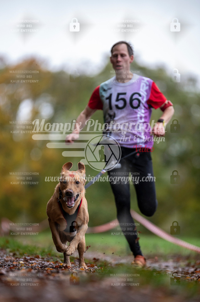 DBT_DAKM_SA_4_11_2023_Canicross-51 | PayLife