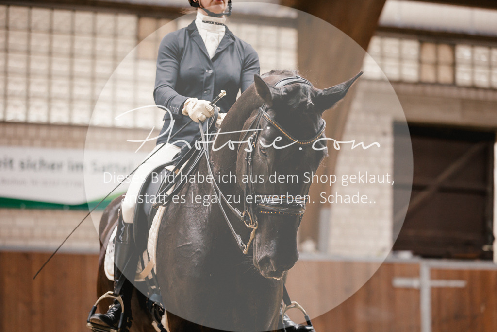 3I6A8188 | Stimmungsvolle Portraits und Reitsportfotografie im Ruhrgebiet und im Münsterland.

Pferdefotografie, Hundefotografie, Tierfotografie, Reportagen, Portraits von Tier und Mensch, Turnierfotografie in Bochum, Recklinghausen, Marl, Haltern am See, Dülmen.. - Realisiert mit Pictrs.com
