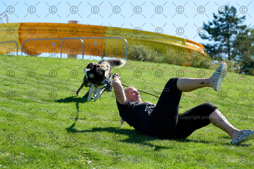 036_202509_4Hundebadetag_NZ9_2192 | proPHOTO - Realisiert mit Pictrs.com