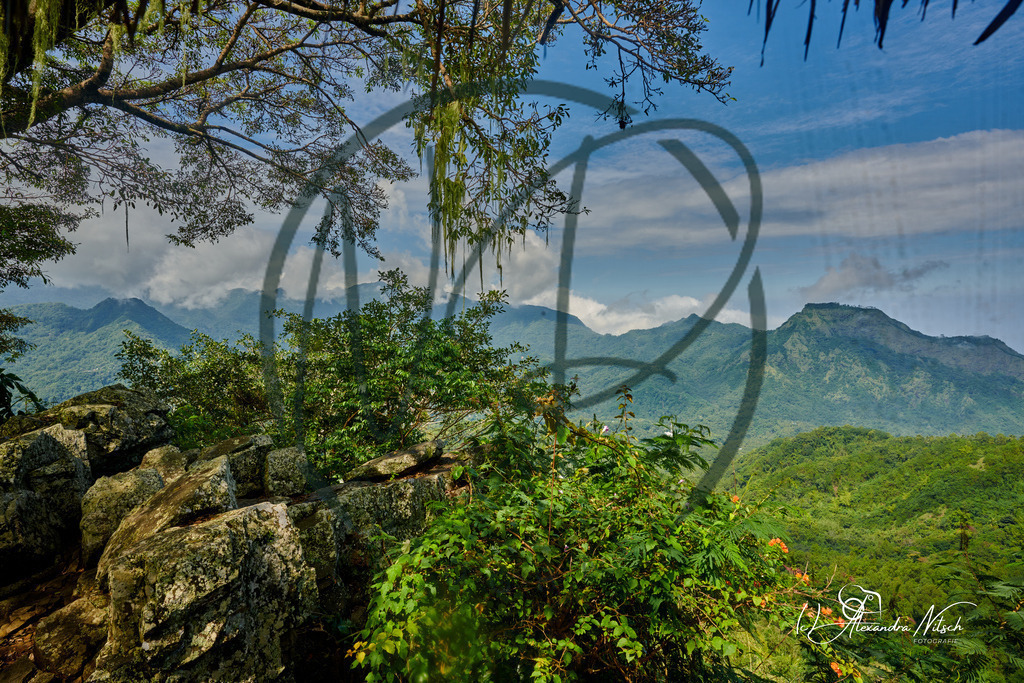 ndfoto_DSC_1472_Original (priv. Nutzung)_2030949e_ | nitsch-dingeldein fotografie - Realisiert mit Pictrs.com