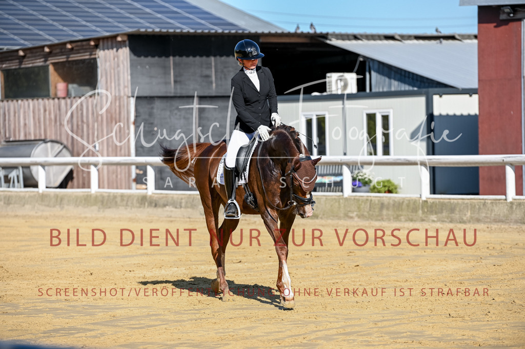 Schugtsche-Aluta25-51.Dressurpferdeprf.M-38 | Schugtsche Fotografie - Realizzato con Pictrs.com