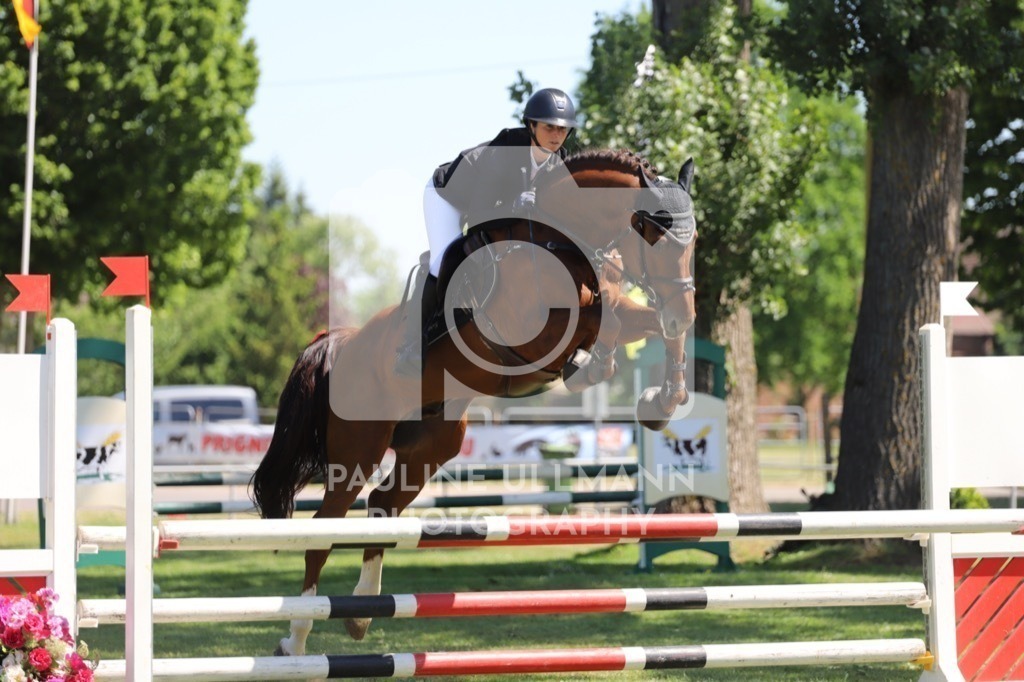 IMG_6334 | Pauline Ullmann Photography - Realisiert mit Pictrs.com