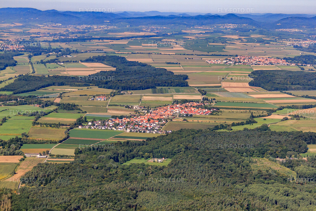 Luftbild: Ortsübersicht aus Osten in Erlenbach bei Kandel im Bundesland Rheinland-Pfalz in Deutschland. Foto: IMG_52335.jpg vom 19.08.2012 durch Werner Riehm/FLY-FOTO.de