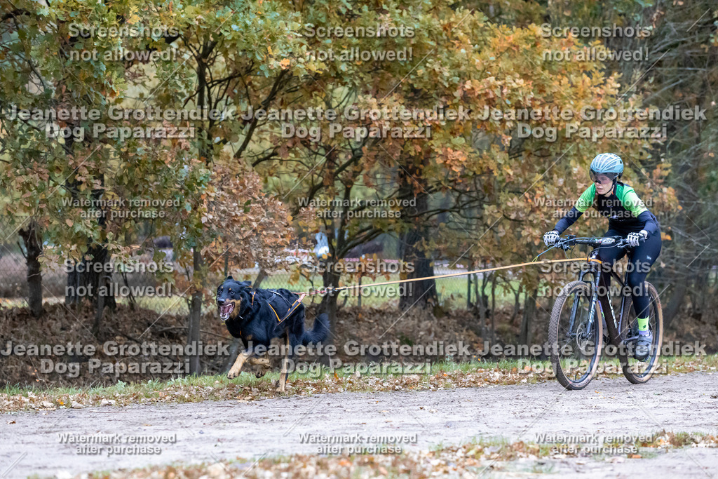 Dog Paparazzi - SD CaniX Championship 2025-248 | Dog Paparazzi Jeanette Grottendiek Fotografie & Videografie - Realisiert mit Pictrs.com