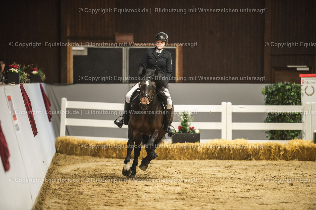 20240302_Hengstvorstellung_Marbach_TOMsPiC_0298-2 | equistock