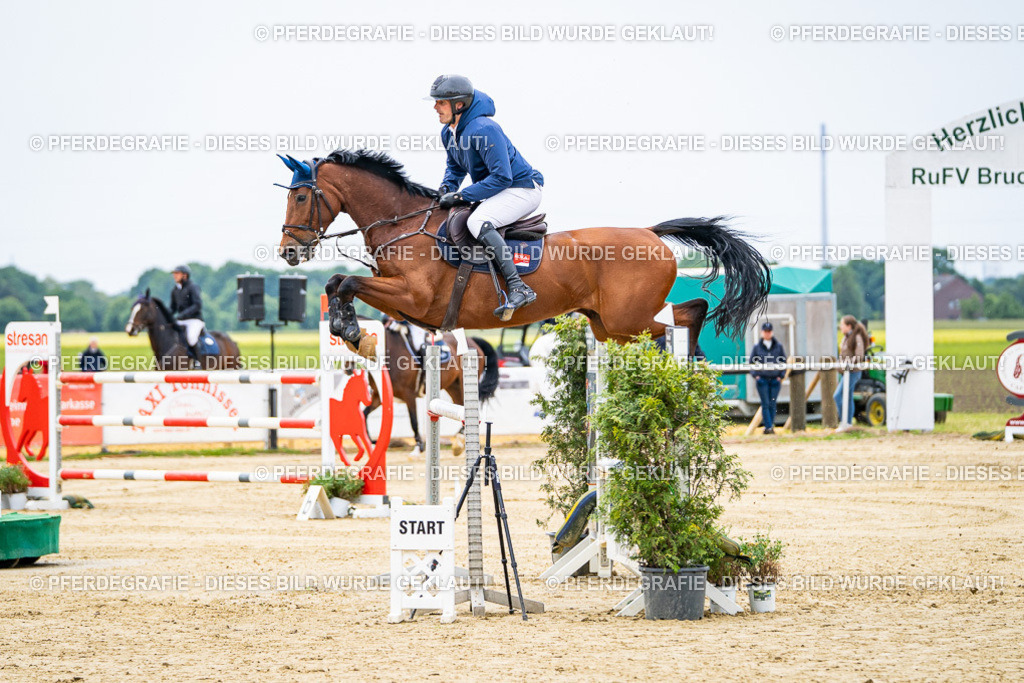 DSC06630 | Pferdegrafie