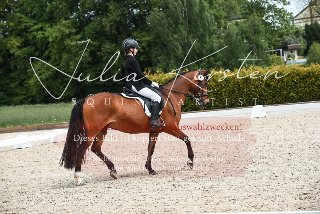 20230518_JK-Röhrsdorf-11-0231 | Pferde- und Turnierfotografie in Westsachsen. Pferdeportraits, Auftragszeichnungen und intuitive Kunst.