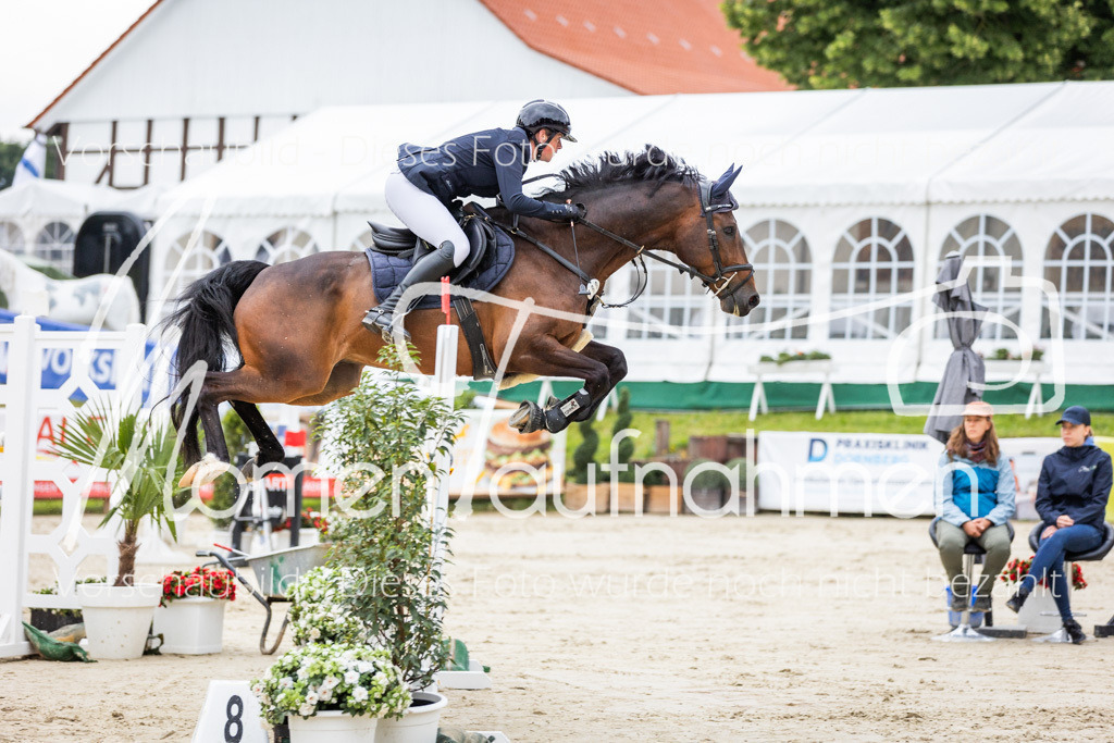 BHO-2PhSpr-M-130 | MomenTaufnahmen Pferdesportfotos