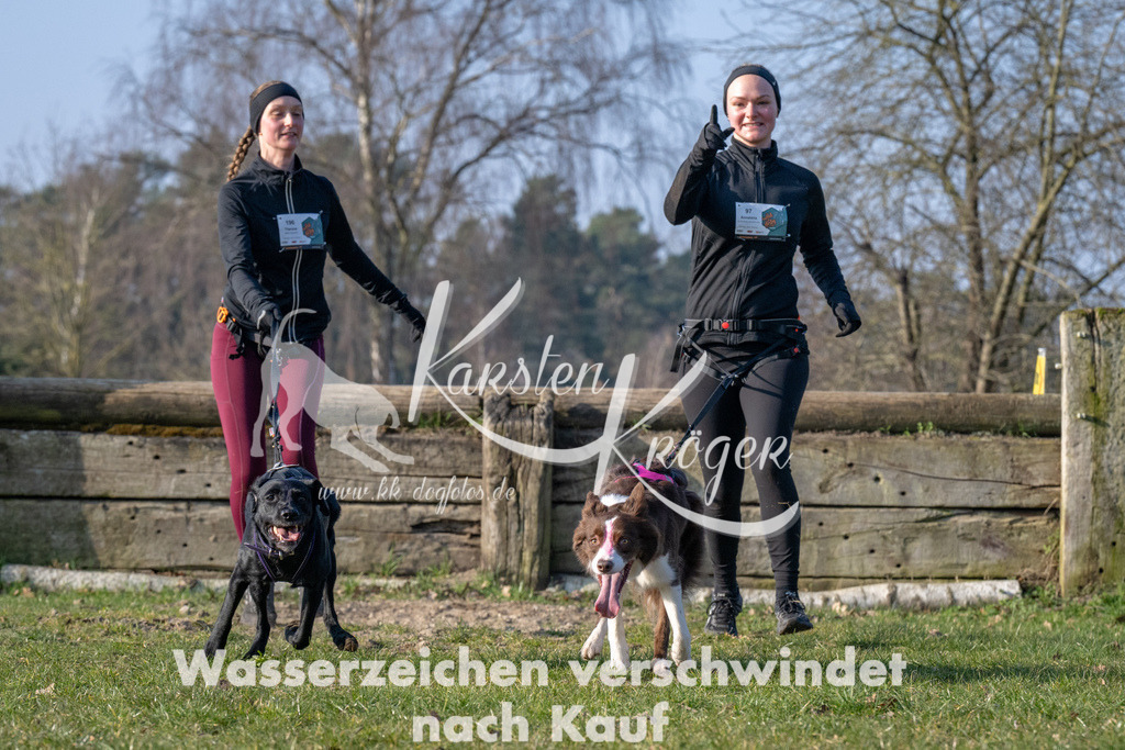 _ZZ93910 | kk-dogfotos