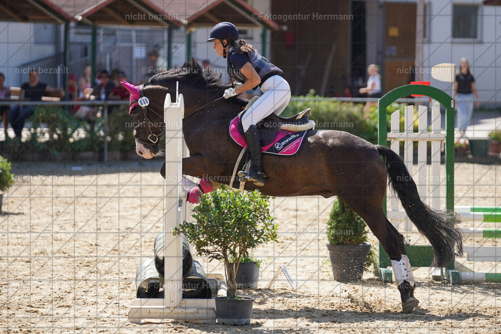 20240824-FAH08000 | Thierhaupten 2024, Bayerisches Landesponyturnier, Turnierbilder, Ponybilder, Turnierfotografen Bayern, Fotoagentur Herrmann