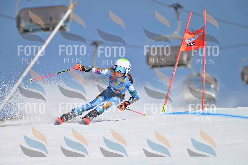 BGV_7608 | holidayphoto