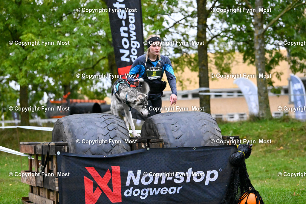 DSC_2701 | Hallo und herzlich Willkommen auf meiner Shop-Seite Fynn Most.

Ich wünsche Dir viel Spaß beim stöbern durch die Bilder, wenn Du Fragen hast oder Bilder vermisst, kannst du mir gerne eine Nachricht schreiben. - Realisiert mit Pictrs.com
