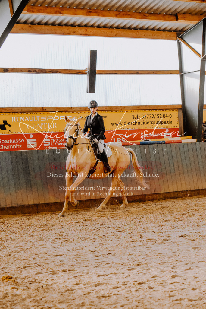 DSC_7674 | Pferde- und Turnierfotografie in Westsachsen. Pferdeportraits, Auftragszeichnungen und intuitive Kunst.