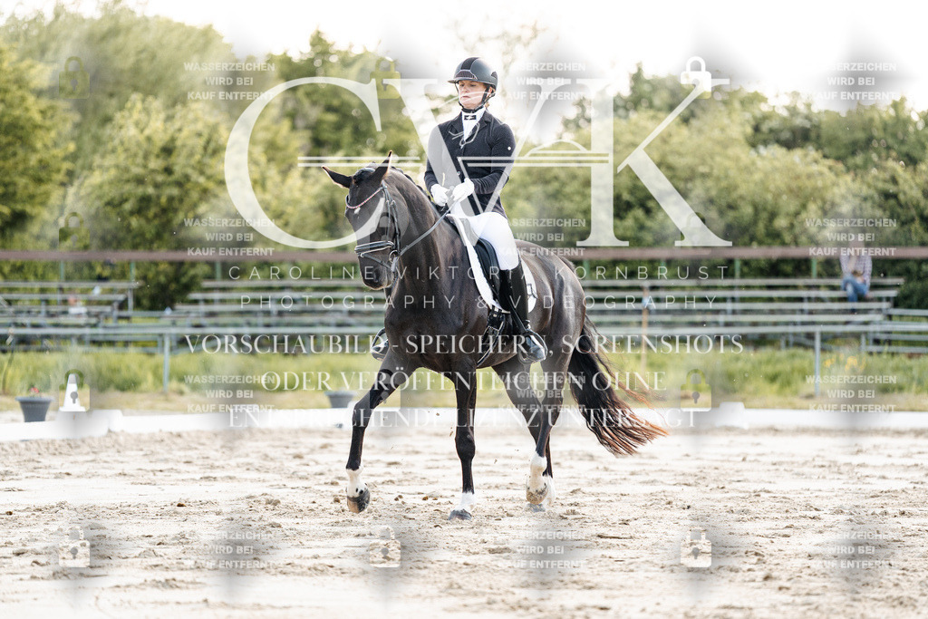 CK909378 | Turnierfotografie Pferdefotografie Trier Rheinland-Pfalz Pferdesport Reitsport Tierfotografie Sportfotografie Pferdevideo Pferdevideografie Equestrianvideography equestrianphotography  - Realisiert mit Pictrs.com