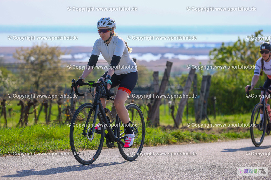 TRA_0358 | Neusiedlersee Radmarathon 2026@sportshot_your_pictrs #yourpictures#roadtowm2029 #nrm #neusiedlerseeradmarathon #neusiedlersee #neusiedlerseetourismus #burgenland #mörbisch #nrm26 #burgenlandtourismus #voglundco #poweredbyburgenlandtourismus #radsport #rad #marathon #ucigranfondo #visitburgenland #ucigranfondoworldseries