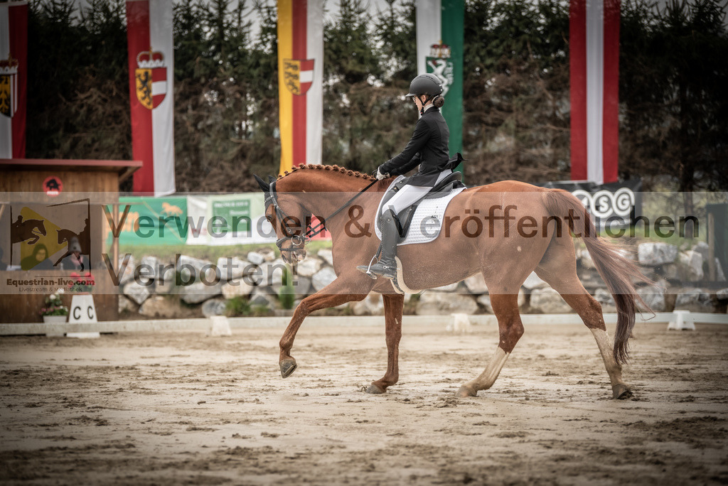 DSC_0261 | equestrian-live-com
