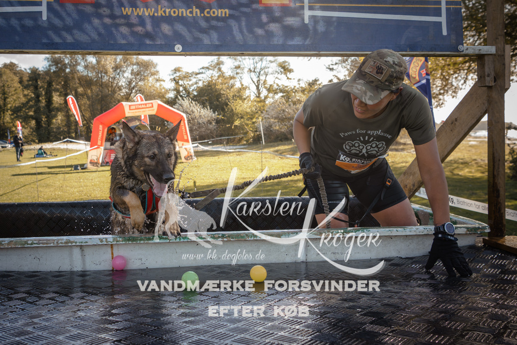 1222_ZZ95823 | kk-dogfotos