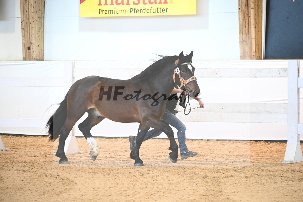 Kat-Nr. 4 v. Rubino I_Mitterer_6240025 | hf-fotografie - Realisiert mit Pictrs.com