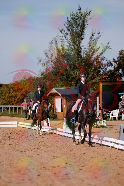 2026_10_03_Siefer-Hof_115502_Z81_95071649 | Professionelle Reitsport-, Turnier- und Eventfotografie von Robert Broda. Galerien mit ausgewählten und bearbeiteten Bildern direkt online ansehen und bestellen.