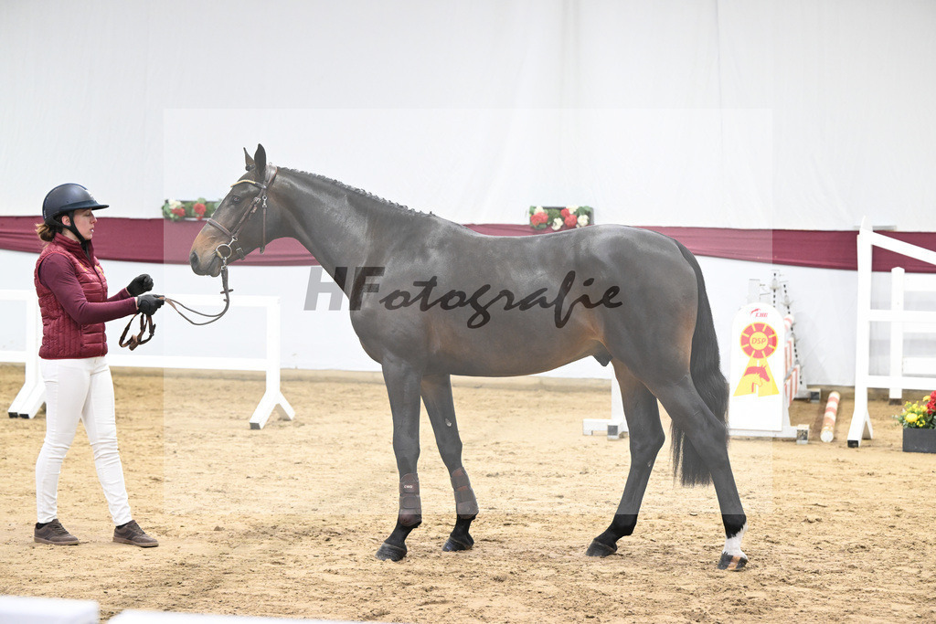 Kat-Nr. 103 Pifte van het Houtemhof x Indoctro_Anna-Sophie Kosch_47253291 | hf-fotografie - Realisiert mit Pictrs.com