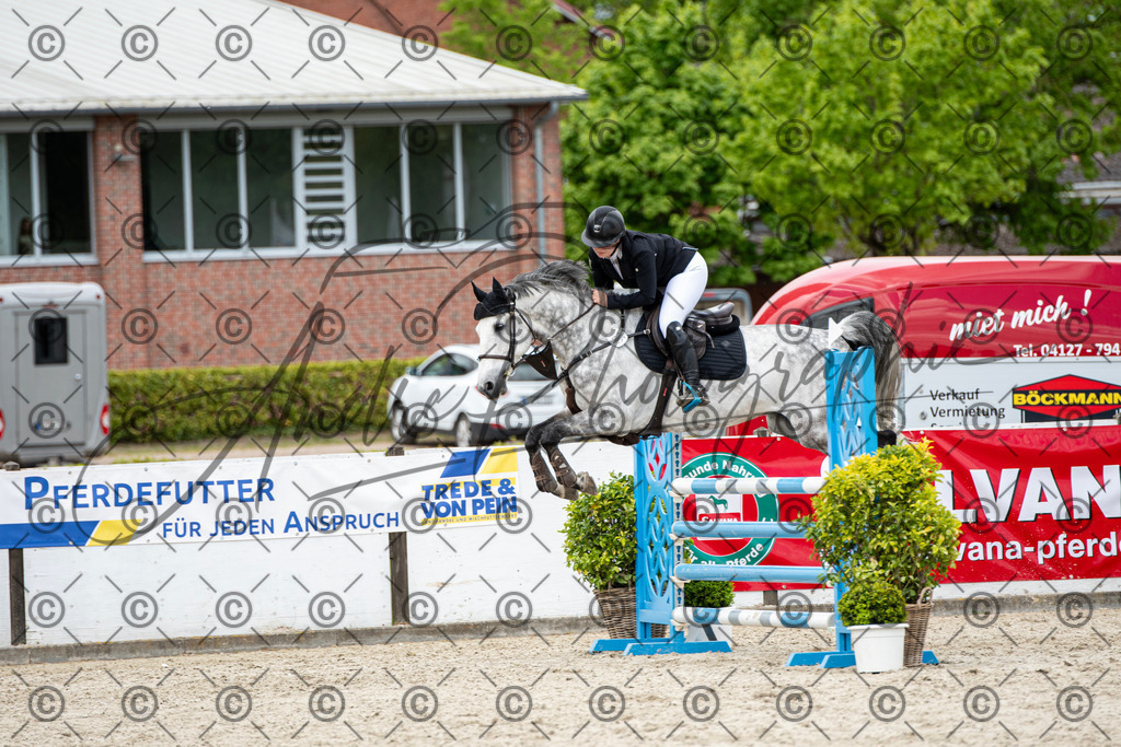 KPT_5702 | andre_photographic