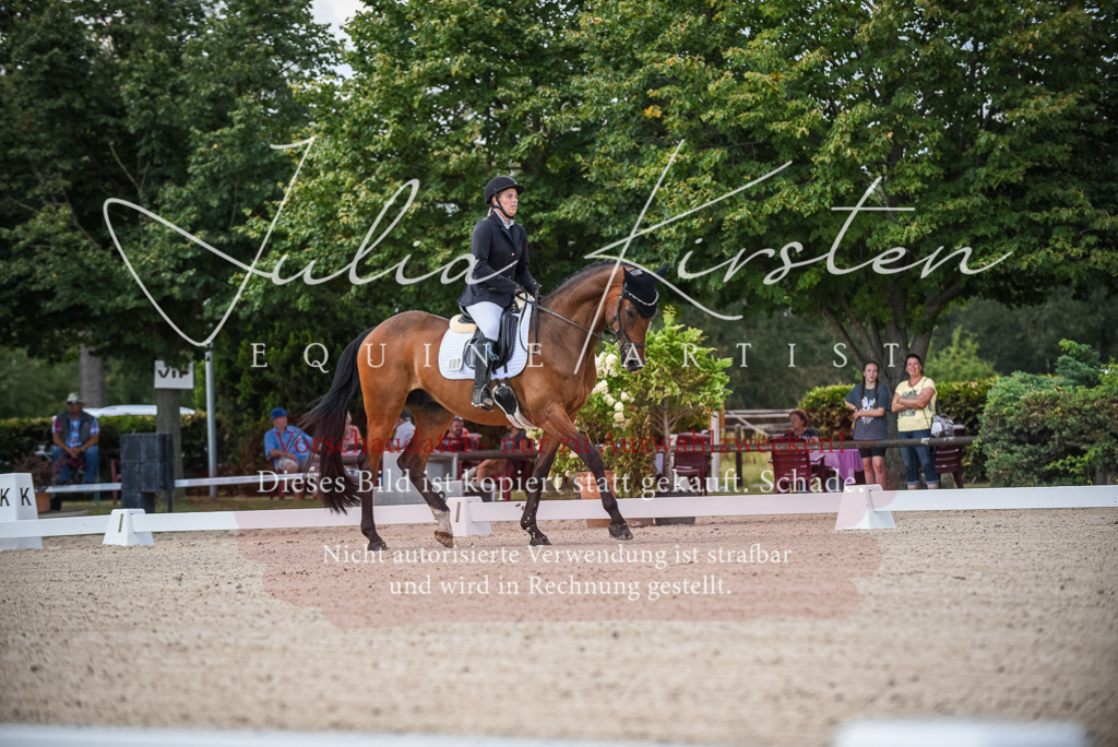 DSC_9011 | Pferde- und Turnierfotografie in Westsachsen. Pferdeportraits, Auftragszeichnungen und intuitive Kunst.