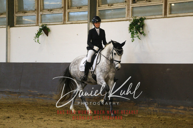 IMG_7887 | Turniersportfotografie; Pferdefotografie; Dressurfotografie