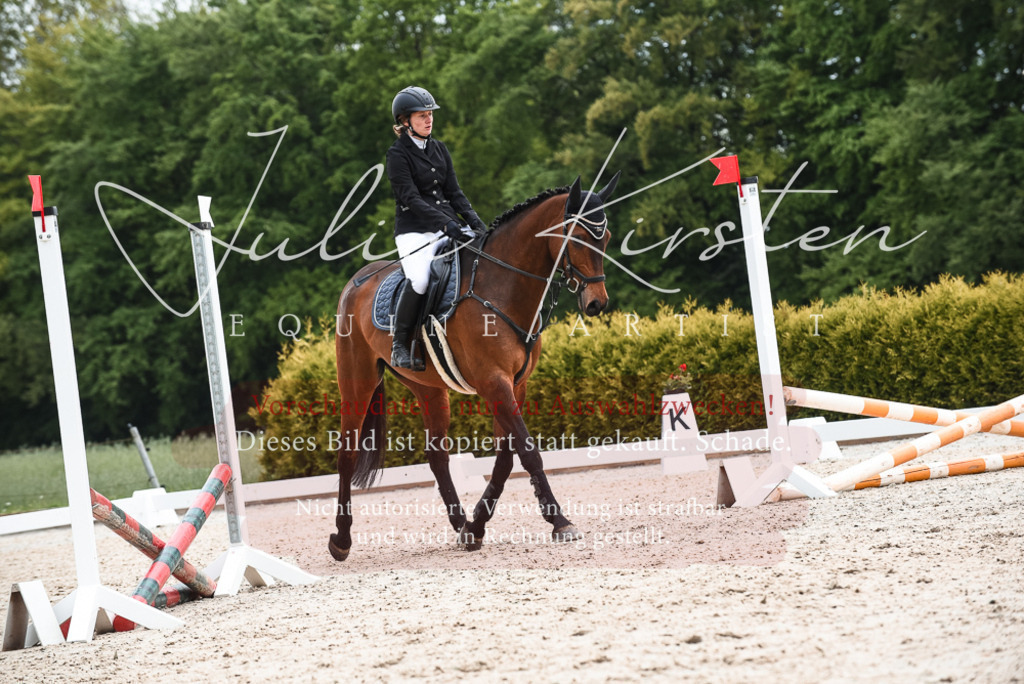 20230518_JK-Röhrsdorf-10-321 | Pferde- und Turnierfotografie in Westsachsen. Pferdeportraits, Auftragszeichnungen und intuitive Kunst.