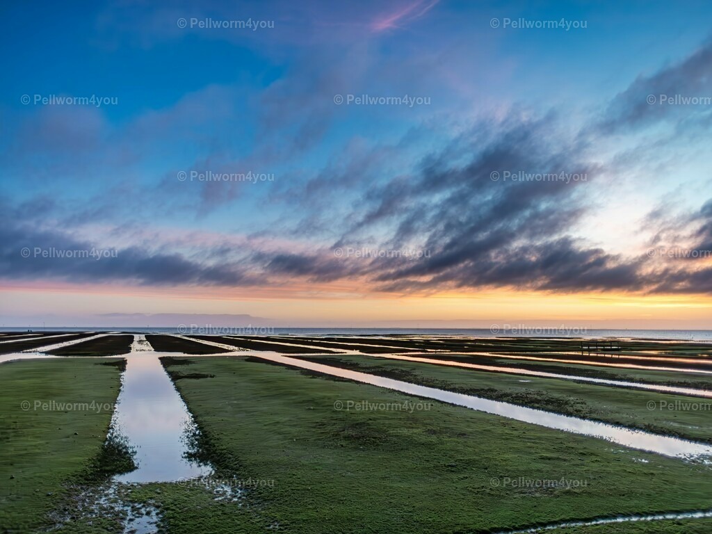 pellworm-kalender-2024-08-denoise-enhance-2x-sharpen | Pellwormer Bilder und Fotos als Poster, auf Leinwand mit Keilrahmen, hinter Acrylglas, auf Alu-Dibond oder Forex-Platte und vieles mehr. Zum verschenken, für die Ferienwohnung oder für zu Hause. - Realisiert mit Pictrs.com