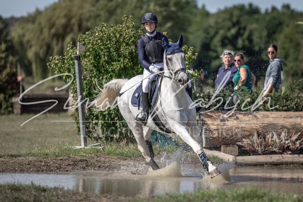 20250907-_3LI9853 | Tierfotografie Pferde, Hunde, Katzen, Haustiere.
Turnierfotografie Reitturniere, Reiten, Springreiten, Dressur in Hanau, dem Main-Kinzig-Kreis und dem Rhein-Main- Gebiet um Frankfurt