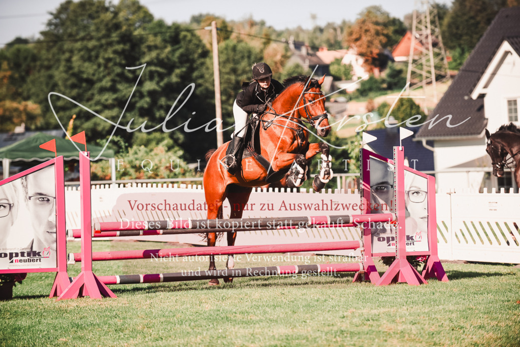 DSC_2221 | Pferde- und Turnierfotografie in Westsachsen. Pferdeportraits, Auftragszeichnungen und intuitive Kunst.