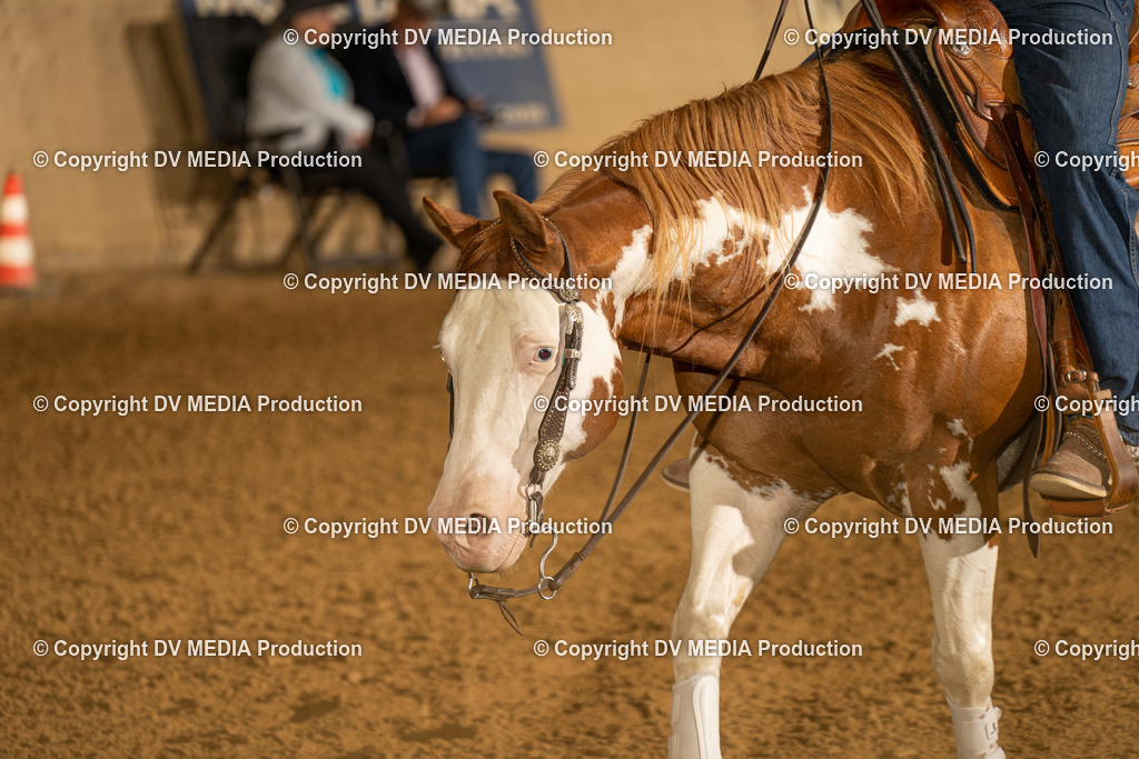 LAU00097 | dv-media-shop - Realisiert mit Pictrs.com