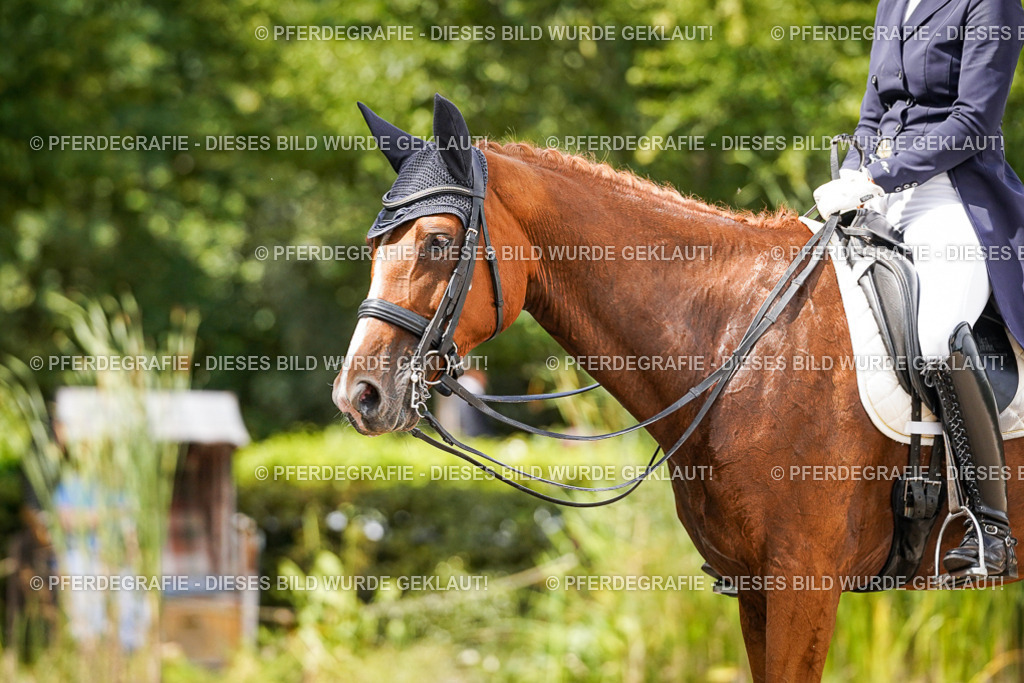 DSC06401 | Pferdegrafie