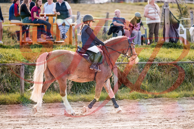 2026_10_03_Siefer-Hof_144352_Z81_17343811 | Professionelle Reitsport-, Turnier- und Eventfotografie von Robert Broda. Galerien mit ausgewählten und bearbeiteten Bildern direkt online ansehen und bestellen.