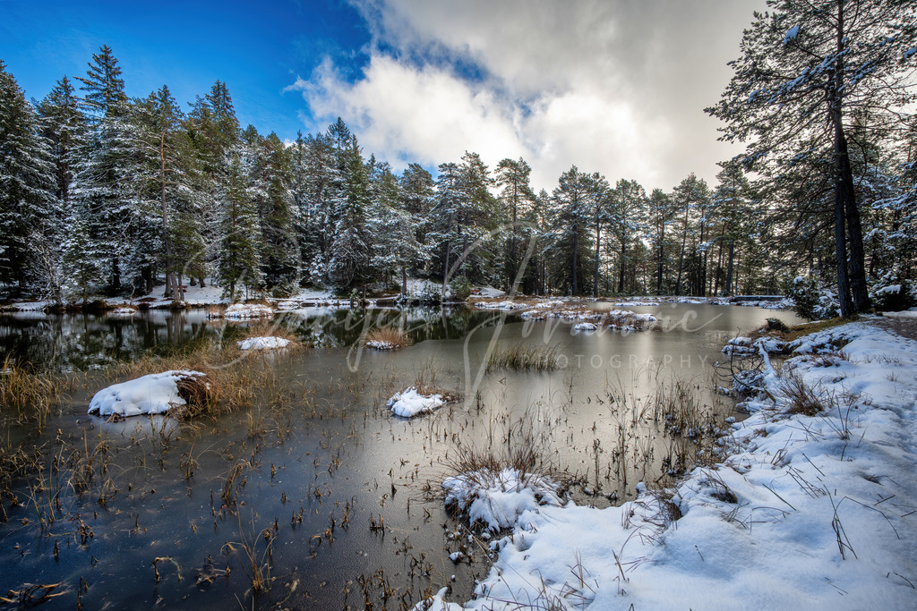 Möserer See | Winter am Möserer See