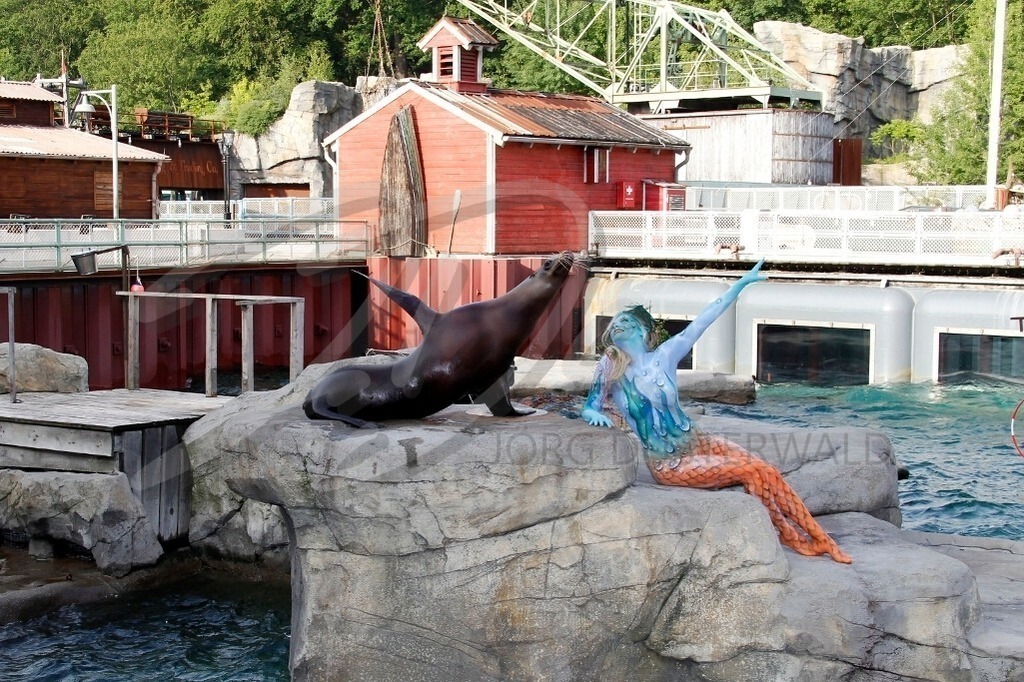 AnimalArt-SEELÖWE_0374 | #005 | Modell: Daniela | Foto: Tschiponnique Skupin - Realisiert mit Pictrs.com